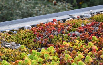 the cost of Craigens green roof installation