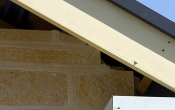 soffit repair Craigens