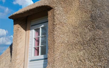 Craigens thatch roof disadvantages