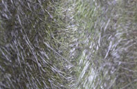 Craigens fibreglass roof work